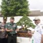 Bupati Bone bersama unsur Forkopimda meninjau pelaksanaan pameran dan Kontes Nasional Bonsai di kawasan Terminal Petta Ponggawae, Kabupaten Bone, Rabu (26/7). (ist)
