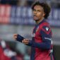 Striker Bologna, Joshua Zirkzee. (int) 