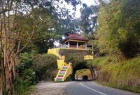 Sumpang Labbu menjadi salah satu cagar budaya Kabupaten Bone. (int)