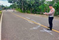 Personel Satlantas Polres Bone olah TKP kecelekaan lalu lintas, di Bengo, Kabupaten Bone, Rabu (24/1). (ist)
