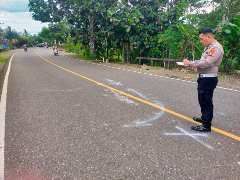 Personel Satlantas Polres Bone olah TKP kecelekaan lalu lintas, di Bengo, Kabupaten Bone, Rabu (24/1). (ist)
