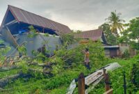 Atap rumah warga Kelurahan Tibojong rusak tertimpa pohon tumbang, Kabupaten Bone, Senin (29/1). (ist)