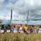 Panen perdana padi Program Gernas Tahun 2023 di Kampung Mentan tepatnya di Desa Ponre-ponre, Kecamatan Libureng, Kabupaten Bone. (ist)