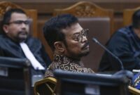 Syahrul Yasin Limpo menjalani sidang. (int)