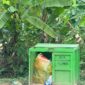 Meski Dinas Lingkungan Hidup (DLH) Kutai Timur telah menyediakan tempat penampungan, namun sampah kerap ditemukan berserakan di badan jalan. (ist) 