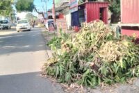 Tumpukan sampah yang disebabkan PLN dikeluhkan warga Kelurahan Bukaka, Kabupaten Bone, Sabtu (8/6). (ist)