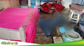 Hj Sitti Patimang (64) ditemukan tewas di dalam rumahnya dalam kondisi jenazah yang sudah membengkak dan berulat, Kabupaten Bone, Rabu (10/7). (ist)