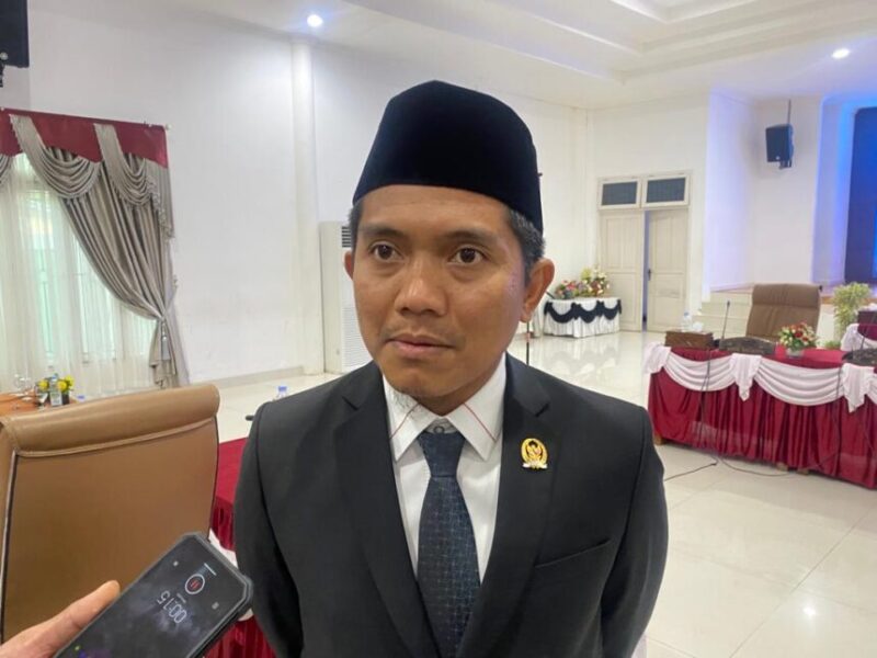 Andi Faizal Sofyan Hasdam. (int)