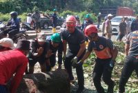 BPBD Bontang Atasi Pohon Tumbang yang Sebabkan Kemacetan Parah. (foto;Sadah)