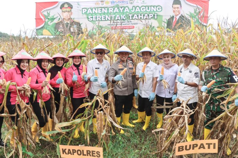 Sinergitas TNI, Polri dan Pemerintah Daerah Kabupaten Bone dalam menyukseskan program ketahanan pangan. (ist) 