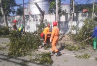 BPBD Bontang Pangkas Pohon Rawan Tumbang di Gunung Telihan. (foto;sadah)