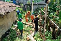 Tim BPBD Bontang evakuasi pohon tumbang yang timpa rumah warga, Selasa (18/3). (ist)