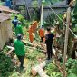 Tim BPBD Bontang evakuasi pohon tumbang yang timpa rumah warga, Selasa (18/3). (ist)