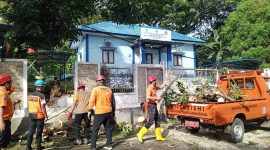 BPBD Bontang Tangani Pohon Tumbang di Bontang Selatan, Senin (24/3). (ist)