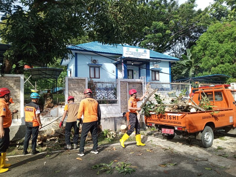 BPBD Bontang Tangani Pohon Tumbang di Bontang Selatan, Senin (24/3). (ist)