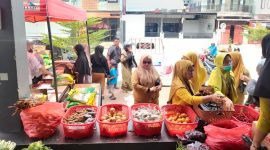 CREATOR: gd-jpeg v1.0 (using IJG JPEG v62), quality = 82?