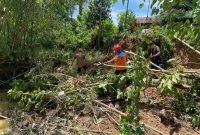 BPBD Bontang Bersihkan Sungai dari Rintangan Pohon Tumbang. (ist)