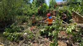 BPBD Bontang Bersihkan Sungai dari Rintangan Pohon Tumbang. (ist)