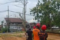 BPBD Bontang tebang pohon rawan tumbang di Kanaan, Kecamatan Tanete Riattang Barat, Kamis (1/5). (ist)