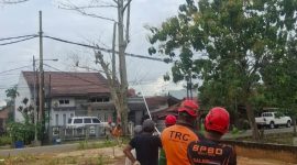 BPBD Bontang tebang pohon rawan tumbang di Kanaan, Kecamatan Tanete Riattang Barat, Kamis (1/5). (ist)