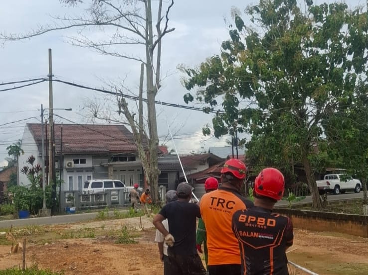 BPBD Bontang tebang pohon rawan tumbang di Kanaan, Kecamatan Tanete Riattang Barat, Kamis (1/5). (ist)