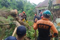 Diterjang Hujan Sejak Dini Hari, Pohon Tumbang Timpa Dua Rumah Warga di Bontang Barat. (ist)