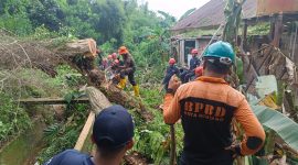Diterjang Hujan Sejak Dini Hari, Pohon Tumbang Timpa Dua Rumah Warga di Bontang Barat. (ist)