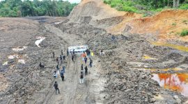Kawasan Hutan Dengan Tujuan Khusus Universitas Mulawarman (Foto/Mahasiswa Unmul)