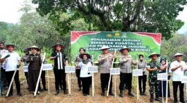 CREATOR: gd-jpeg v1.0 (using IJG JPEG v62), quality = 82?