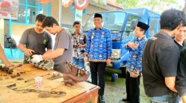 CREATOR: gd-jpeg v1.0 (using IJG JPEG v62), quality = 82?