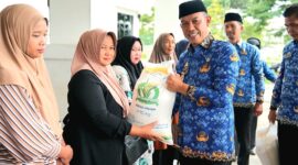 CREATOR: gd-jpeg v1.0 (using IJG JPEG v62), quality = 82?