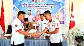 CREATOR: gd-jpeg v1.0 (using IJG JPEG v62), quality = 82?