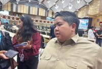 Wakil Ketua DPRD Kaltim Ananda Emira Moeis. (Foto/Diksiku)