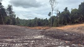 Kondisi KHDTK Unmul yang dirambah. (DOK/Diksiku)