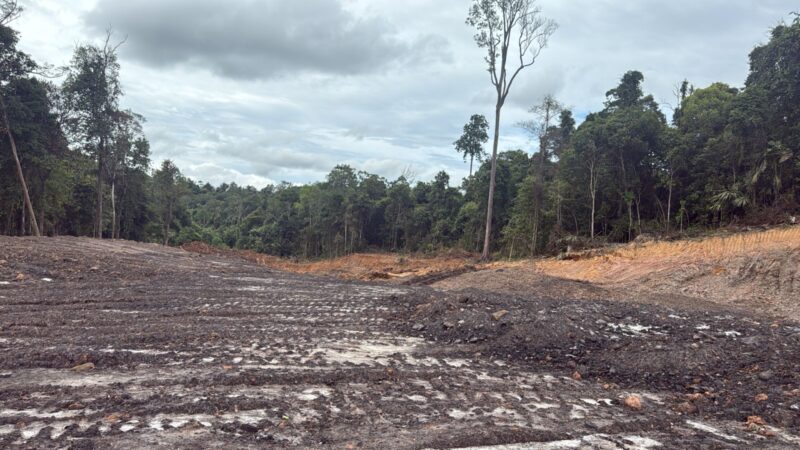 Kondisi KHDTK Unmul yang dirambah. (DOK/Diksiku)