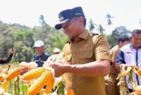 Bupati Bone, Andi Asman Sulaiman. (ist)