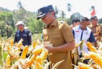 Bupati Bone Andi Asman Sulaiman. (ist)