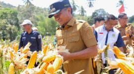 Bupati Bone Andi Asman Sulaiman. (ist)