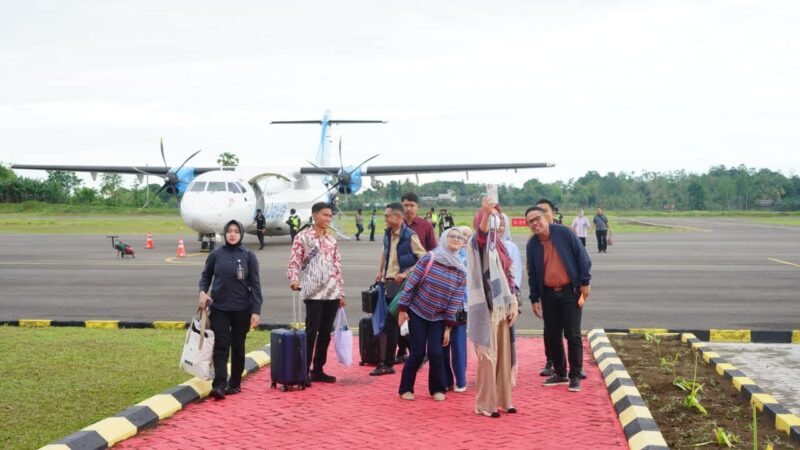 Pemprov Sulsel Prioritaskan Perluasan Bandara Bone untuk Dongkrak Ekonomi. (ist)