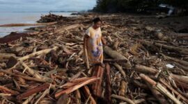 Tumpukan kayu gelondogan pasca banjir Sumatra. (int)