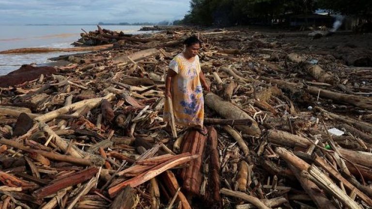 Tumpukan kayu gelondogan pasca banjir Sumatra. (int)