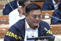 Direktur Tindak Pidana Ekonomi Khusus Bareskrim Polri, Brigjen Ade Safri Simanjuntak. (int)