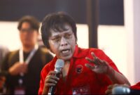 Adian Napitupulu. (foto:int)