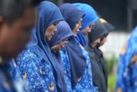 ilustrasi PPPK. (int)