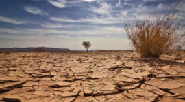 ilustrasi kemarau. (int)