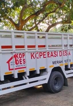 berita-rekomendasi-foto