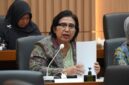 Anggota Komisi IX DPR RI Irma Suryani Chaniago. (int)