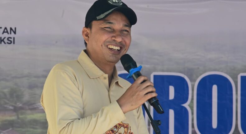 foto slider headline