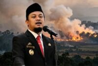 Gubernur Sulsel Minta Warga Waspada Kebakaran Hutan dan Lahan (Karhutla). (int)