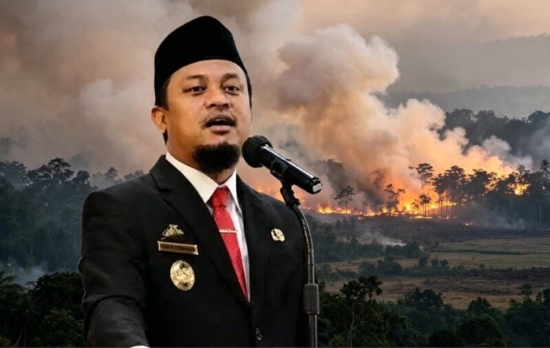 Gubernur Sulsel Minta Warga Waspada Kebakaran Hutan dan Lahan (Karhutla). (int)